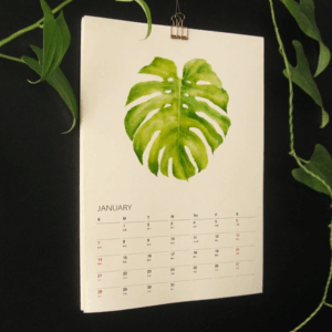 植物的靜默 2025年曆月曆掛曆 給植物愛好者的治癒新年禮物2