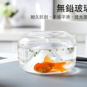 高透光玻璃山形 魚缸